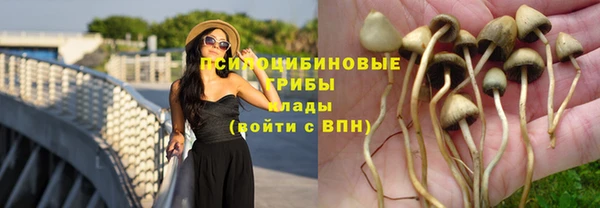 спайс Беломорск
