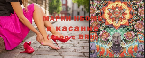 ECSTASY Белокуриха